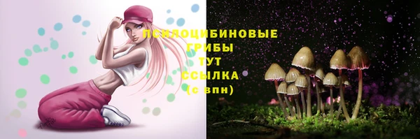 метадон Арсеньев