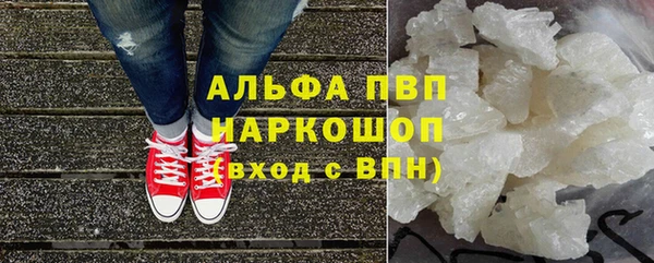 трава Аркадак