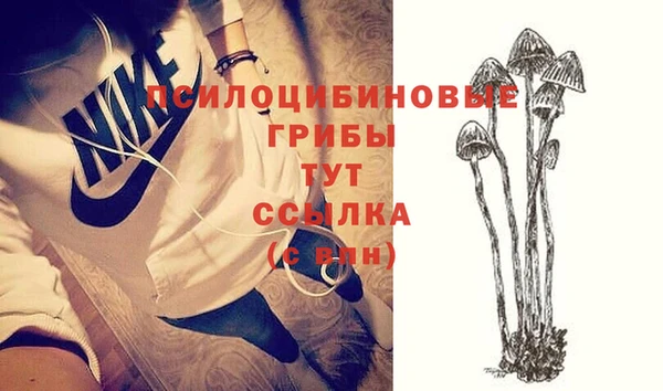молекула духа Армянск