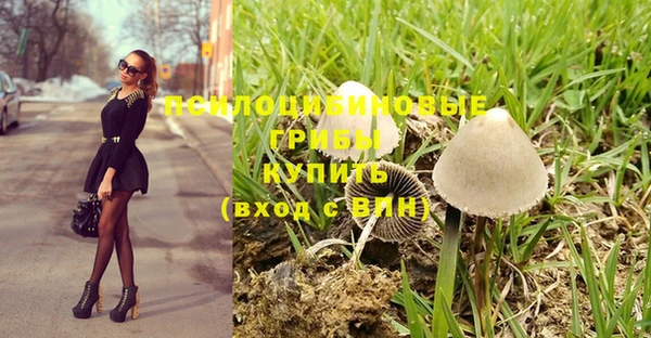 трава Аркадак
