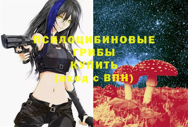 трава Аркадак